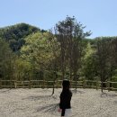 깨끗한 우리집 | 민경훈 캠핑장 양평 깨끗한 오토캠핑장 집밖으로 명당 추천 K사이트 후기