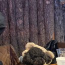 나의 강아지에게 | 🍃 강아지 동반 고기집 인천대공원 바베큐 식당 인더캠핑 내돈내산 후기 + 생일자 같이 감 🍗