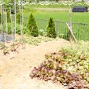 화성꽃피는요양원 이미지