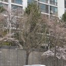 (주)유카 | 유메이드 못 가서 류메이드를 간 어느 멮붕이의 일기_마지텐시 방문 후기