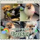 향기롭개 네이버블로그