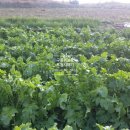 구름뜰농장 이미지