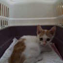 외광보건진료소 이미지