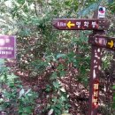 이산치안센터 이미지