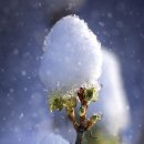 그린나래미술학원 이미지