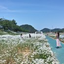남당목장 이미지