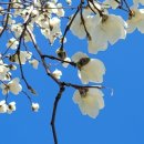 제일성모의원 이미지