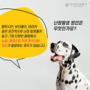 다비치보청기 명일역점 이미지