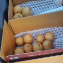 서영농장 이미지