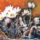 새봄펜션 이미지