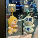 여비참치정육