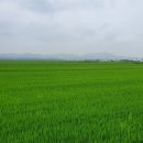 안계2리 이미지