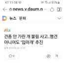 모든견종 입마개의무 추진 이미지