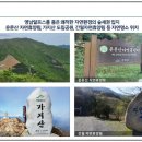 서울산마트 이미지