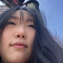 댕신나게 이미지