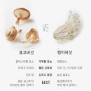 표고버섯 vs 팽이버섯, 요리에 뭘 넣지? 이미지