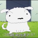 림 차이나 이미지