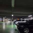 개나리농장 | 동탄 반송동 고기집 창심관 재방문 후기