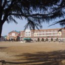 덕진초등학교 이미지