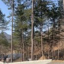 수타사 힐링 캠프 이미지