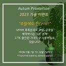 마리앤코 이미지