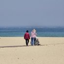 한국장루장애인협회 | 한국백혈병소아암협회 드림온데이 선정 후기｜사랑이와 떠난 동해 가족여행