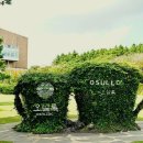 요셉목장 | 제주도 서쪽 여행 필수 코스 - 오설록 티 뮤지엄, 성이시돌목장, 성이시돌센터, 방주교회