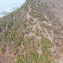 소나무 - 안산시 단원구 광덕2로 185-8 | 소나무
