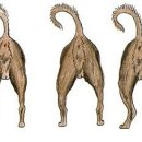 감자동물병원 이미지