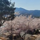 가람펜션캠핑장 이미지