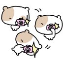 포레아벨