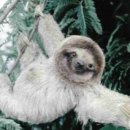 더 느리게 이미지