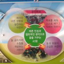 청량초등학교 이미지