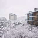 곤지암리조트 이미지