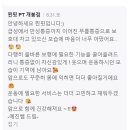 찐핏 이미지