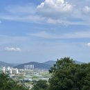 포플러하우스 이미지