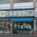마루동물병원 이미지
