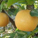 청하농장 이미지