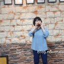 오카리나(실용) 이미지