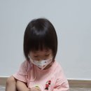 알로하 하와이 이미지