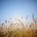 서울척척정형외과의원 이미지