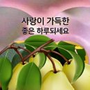 공감이야기 이미지