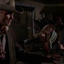 살미목장 이미지