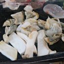 낙지대감 이미지