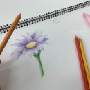 색연필 드로잉 시작하기 이미지