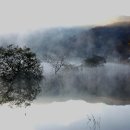 하얀물안개 이미지