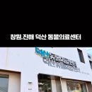 덕산동물의료센터 네이버블로그
