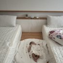 스테이 잔다 이미지