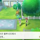 돌산체육관 이미지