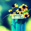 꽃피는날 이미지